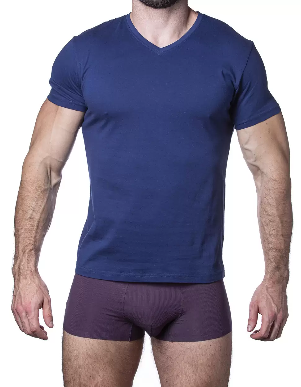 Sergio Dallini SDT761-4, футболка мужская (изображение 1)