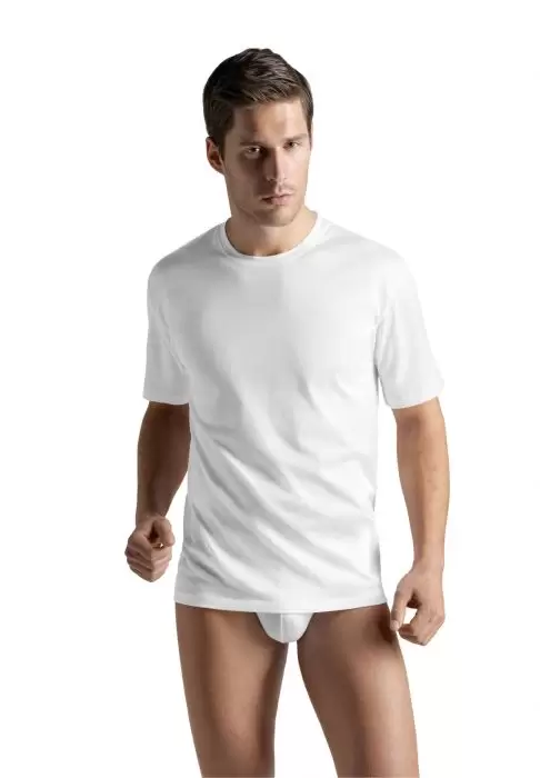Hanro 073511 Cotton Sporty, мужская футболка (изображение 1)