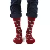 Tezido New Year Т2702, мужские носки (изображение 1)
